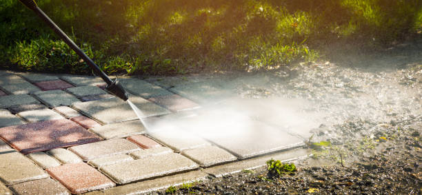 Best Dumpster Area Cleaning  in Wamac, IL